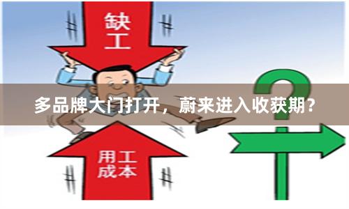 多品牌大门打开，蔚来进入收获期？
