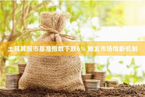 土耳其股市基准指数下跌6% 触发市场熔断机制