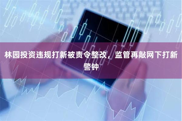 林园投资违规打新被责令整改，监管再敲网下打新警钟