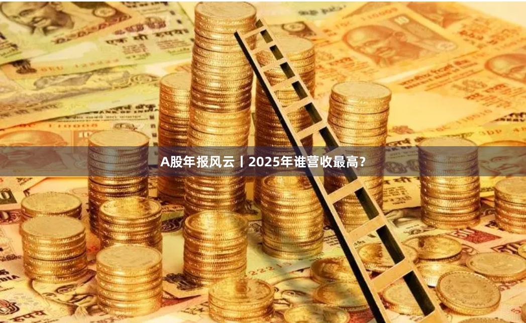 A股年报风云丨2025年谁营收最高？