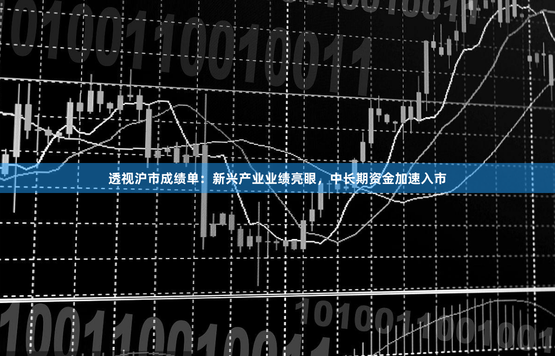 透视沪市成绩单：新兴产业业绩亮眼，中长期资金加速入市