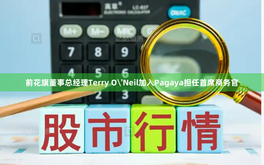 前花旗董事总经理Terry O'Neil加入Pagaya担任首席商务官