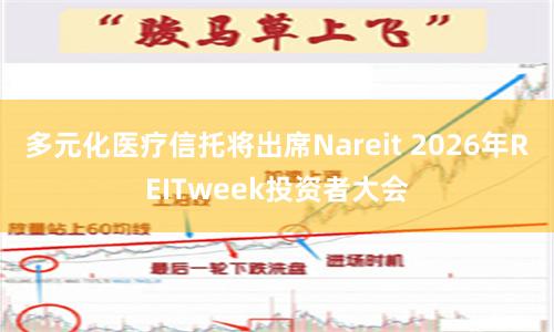 多元化医疗信托将出席Nareit 2026年REITweek投资者大会