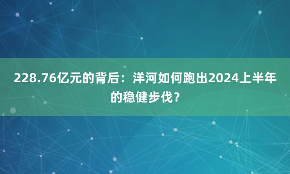 228.76亿元的背后：洋河如何跑出2024上半年的稳健步伐？