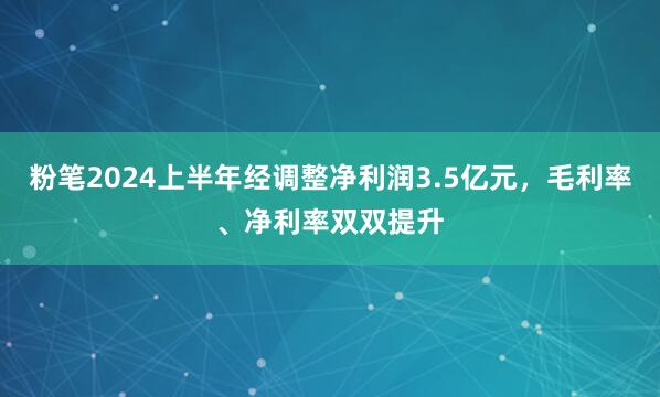 粉笔2024上半年经调整净利润3.5亿元，毛利率、净利率双双提升